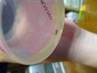 ブヨの事をなんと呼びますか 私は関西系の大学の棒サイクリング部にいまし Yahoo 知恵袋