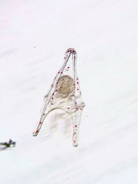 何故玉川大学の学費ってこんなに高いのでしょうか 私立はもともと高 Yahoo 知恵袋