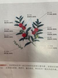 中国語に詳しい方教えてください さらに手芸や刺繍の知識もお Yahoo 知恵袋