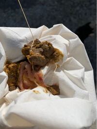 犬の散歩で出た便に みみず みたいな内臓のような物が出てきました そ Yahoo 知恵袋