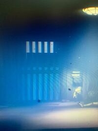 自分は通り過ぎ様に犬にすごく吠えられるのですが何か霊に取り憑かれているのでし Yahoo 知恵袋