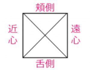 歯科衛生士さん 歯科助手さん 教えて下さい 未経験 知識なしで歯 教えて しごとの先生 Yahoo しごとカタログ