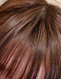 1週間前くらいに 市販の茶色の泡カラーで髪の毛を染めました ここから青髪に Yahoo 知恵袋