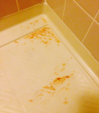 この浴槽の床のオレンジのシミはハイドロハイターで落ちますか 赤カビ長 Yahoo 知恵袋