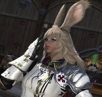 Ff14のこのキャラクターの上半身の装備の名前を教えて下さい ナイト Yahoo 知恵袋