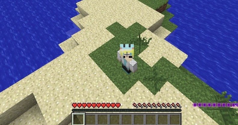 マインクラフト すべての質問 Yahoo 知恵袋