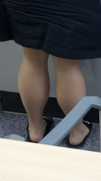 ふくらはぎなんですか 筋肉太りですか 脂肪ですか 筋トレをし Yahoo 知恵袋