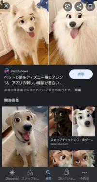 スナチャの猫ちゃんの顔が認識されないのですが Androidだか Yahoo 知恵袋