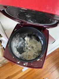 閲覧注意白米を長時間置いてたらこんなカビが生えましたもしこのカビを食べたら Yahoo 知恵袋