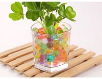 ゲルボール ジェリーボール をカエル アマガエル の飼育に使えるか疑問です Yahoo 知恵袋