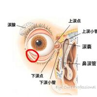 左目の涙袋らへんが押さえたり瞬きすると痛いです 昨日 カラ Yahoo 知恵袋