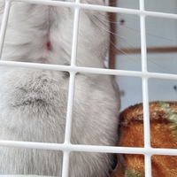 がくしゅうそうち ってメインポケモンが貰える経験値が半減したり減ったりす Yahoo 知恵袋