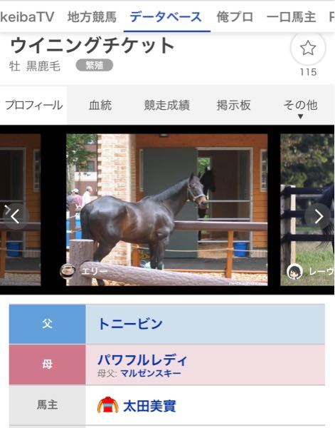 ウイニングチケットってマルゼンスキーの孫ですか そうです Yahoo 知恵袋