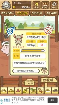 ようとん場Mix - ☆5の豚がいるのですがこの子だけ成長速度が他と比べて... - Yahoo!知恵袋