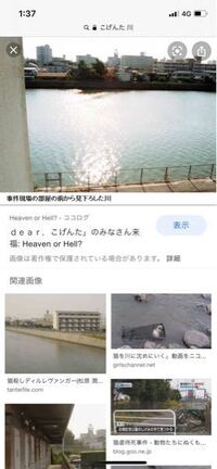 福岡県で何年も前 こげんたちゃんという猫ちゃんがしっぽや手足 耳 Yahoo 知恵袋