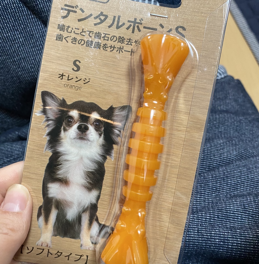 ヘビを飼育されている皆さん 飼育ケースのレイアウトはどのよう Yahoo 知恵袋