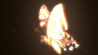 空の境界の曲について 空の境界 第一章 俯瞰風景で
最初の蝶が飛んでるシーンで
流れてる曲名と収録CDを教えてください
お願いします。