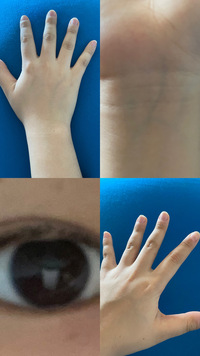 パーソナルカラー分かりますか ネットなどの診断ではイエベ秋とブルベ冬が交互 Yahoo 知恵袋