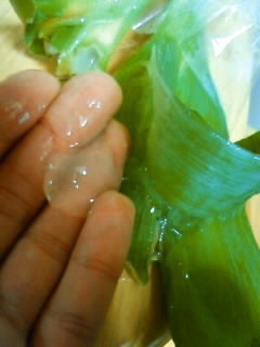 長ネギの緑の部分の中にドロッとしたゼリー状のものがはいっていたのですがだいじょうぶでしょうか？ 昨日スーパーで買ったものなのですが、島根県産の神在ねぎという長ネギを買ったのですが、本当にドロっとしたゼリー状のものが入ってました。見た目は明らかに新鮮なものだと思うのですがこれはなんでしょうか？