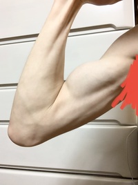 力こぶが絶望的に薄いです 汚い部分は消してあります 貧相な体にしては Yahoo 知恵袋