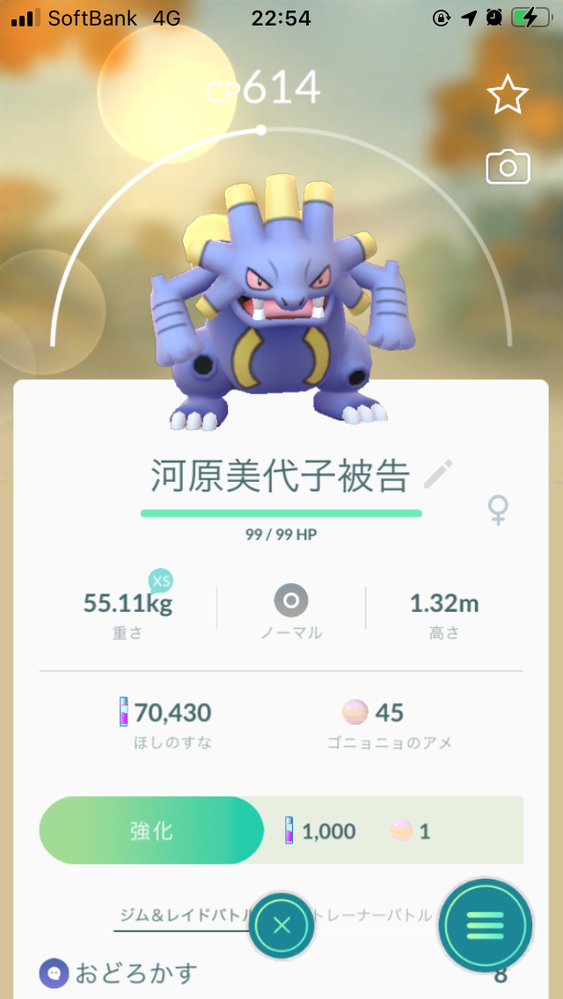 ポケモンgoで自分が付けたあだ名です どう思いますか バクオング Yahoo 知恵袋