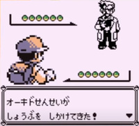 アニメポケモンの最終回ってどうなるでしょう やっぱオーキドってサ Yahoo 知恵袋