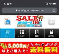 このサイトは安全かどう誰かわかりますか？ - (過去に購入した方など