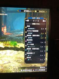 弓 ライズ
