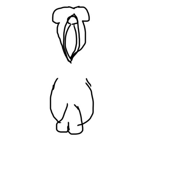 下の話なのですが、私は小陰唇か副皮が大きく手術をしたいのですが画像 