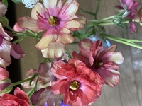 切り花を買って来たのですが このコスモスに似た花の名前をお分かり Yahoo 知恵袋
