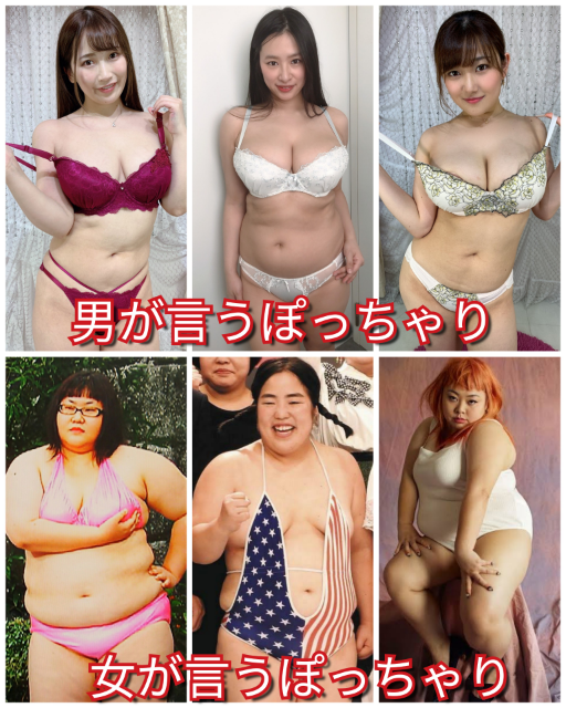 男が言うぽっちゃりと女が言うぽっちゃりが違いすぎるのは何故ですか 女 Yahoo 知恵袋