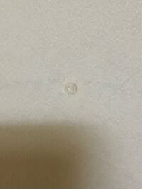 畳を変えようと思うのですが三条たたみと あたらし畳どちらのほ Yahoo 知恵袋