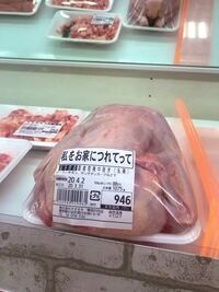 寂しがり屋のにゃんこの治し方を教えてください すこし違う部屋 Yahoo 知恵袋