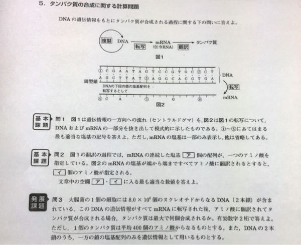 国語の 握手 を読んで600字 800字でルロイ修道士の人柄に着 Yahoo 知恵袋
