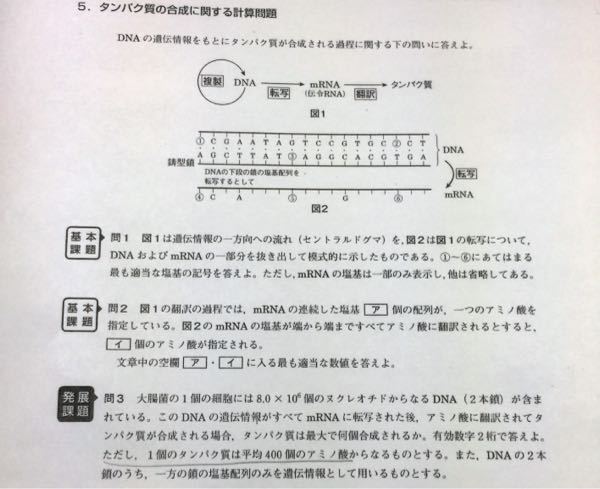 国語の 握手 を読んで600字 800字でルロイ修道士の人柄に着 Yahoo 知恵袋