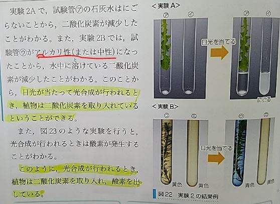 中学1年の教科書にあった記述です Btb溶液を使った日光を当てた Yahoo 知恵袋