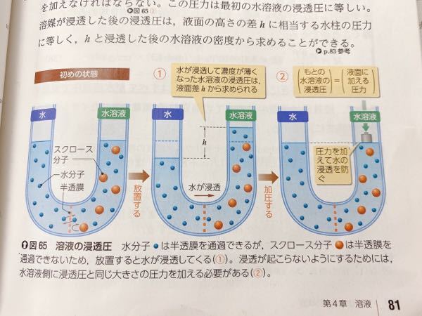 塩化ナトリウムの浸透圧 という言葉が問題にありました でもこ Yahoo 知恵袋
