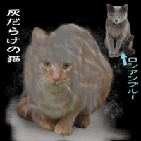 けっこう毛だらけ 猫灰だらけですか Yahoo 知恵袋