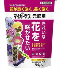 ネメシアの花がら摘みの方法を教えて下さい 初めてネメシアを育て始めた Yahoo 知恵袋