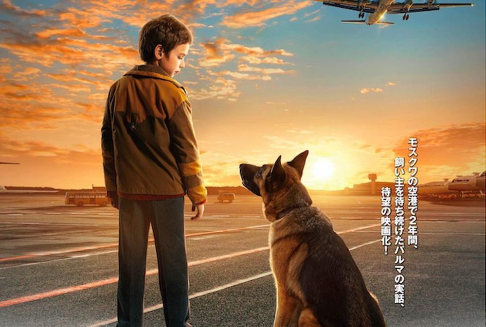 Tジョイ久留米映画館の入り方教えてください 久しぶりに映 Yahoo 知恵袋