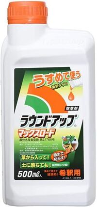 除草剤について質問です ユリやチューリップなど花が散ったあと葉 Yahoo 知恵袋