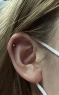 軟骨ピアスを開けたいです 今ヘリックスに１つあいているのですがもう一箇所開 Yahoo 知恵袋