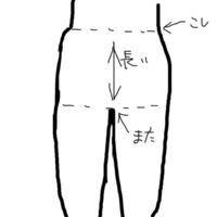 足を長くしたいのですが 腰から股までの長さを短くすることはできるんです Yahoo 知恵袋