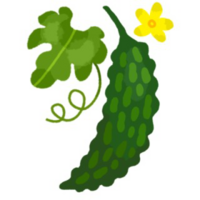 本日５月８日はゴーヤの日です 皆さんゴーヤは好きですか Yahoo 知恵袋