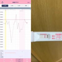 排卵日検査薬がずっと陽性反応を示しており 最近眠気と体のだるさもあるため妊 Yahoo 知恵袋