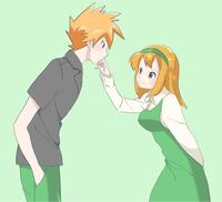 ネット上でメタモンが出現するフレンドサファリを募集しているのですが Yahoo 知恵袋