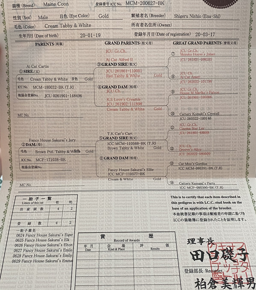 猫をペットショップで購入したら血統書をいただけたのですが、英語です 
