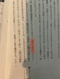 見田宗介さんの｢『自明性の罠』からの解放｣についての質問です。 13段落目にある｢両方を見る｣とは何と何を指してるのでしょうか。教えて下さい。