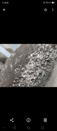 家の塀 コンクリートだと思われる にナメクジが沢山湧いています Yahoo 知恵袋