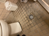 いきなりトイレから下水の臭いがし出して臭いです 原因わかる人お Yahoo 知恵袋